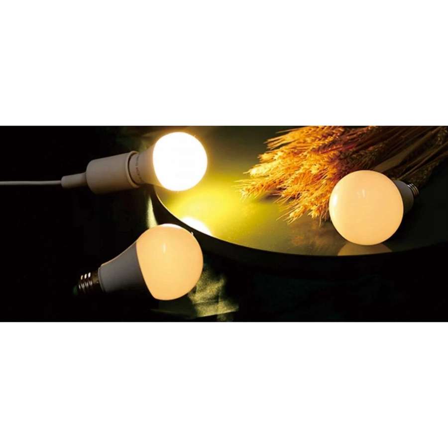 泡灯-LED BULB